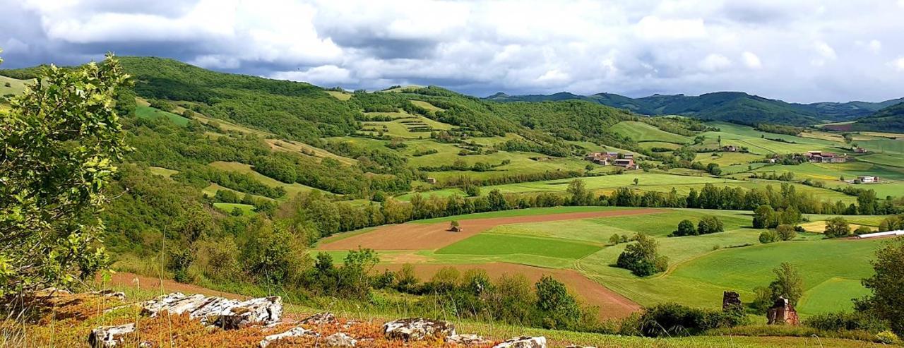 Appart Hotel Du Pays De Roquefort Saint-Affrique Ngoại thất bức ảnh